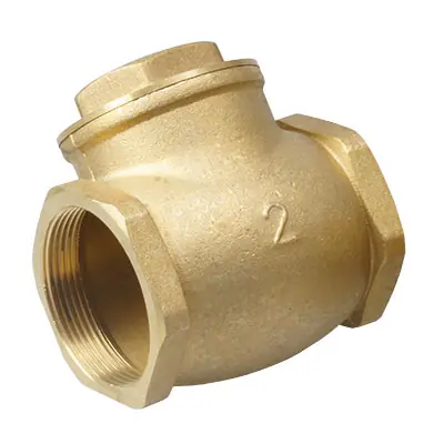 Rückschlagklappe 2" GPV Vakuumpumpen Knallerangebot