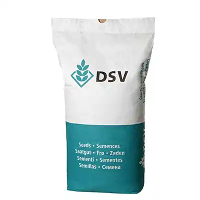 RSM 2.3 Rasensamen 10 kg für 400 m² – Spielrasen & Gebrauchsrasen (DSV 230) Schnäppchen