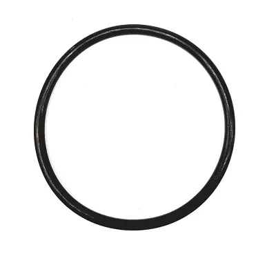 Letzte Chance Dichtring Behälterglas dicke Ausführung 63x4mm