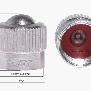 Sonstige  Ventilkappe F-Cap-gasket VG8 Messing vernickelt mit Spezialdichtung 100 Stück Sonderangebot