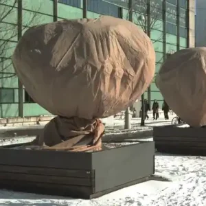 Sonderaktion Granit  Kübelpflanzen-Sack verschiedene Größen UV-stabilisiertes Vlies 1 / 2 Stück beige