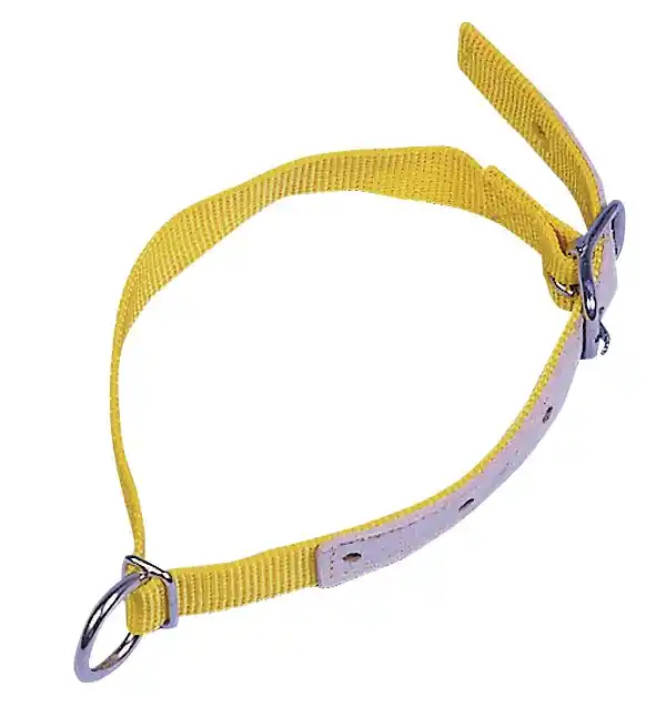Halsriemen für Schafe, Nylon, gelb - 60 cm Preiswert
