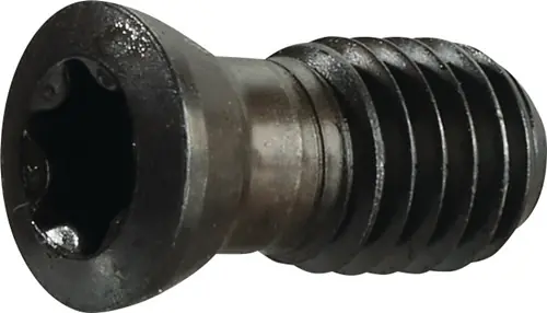 Echt TECWERK Spannschraube Größe T20