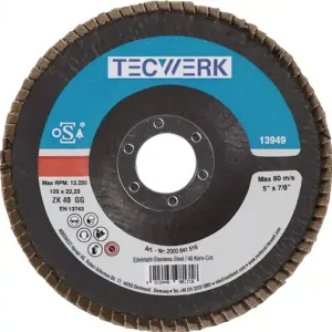 TECWERK Fächerscheibe Durchmesser 125 mm Körnung 60 konisch flach Aktuell