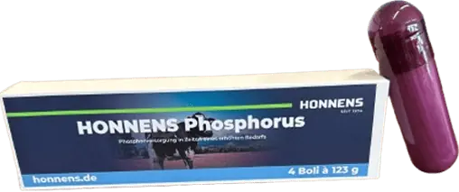 Ergänzungsfuttermittel HONNENS Phosphorus Ausverkauf