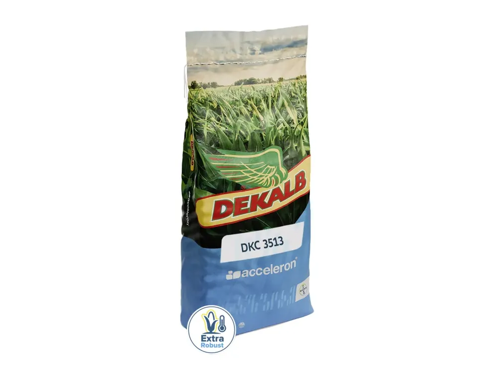 Mais-Saatgut Dekalb DKC 3513 (S 260; ca. K 250) Rabatt