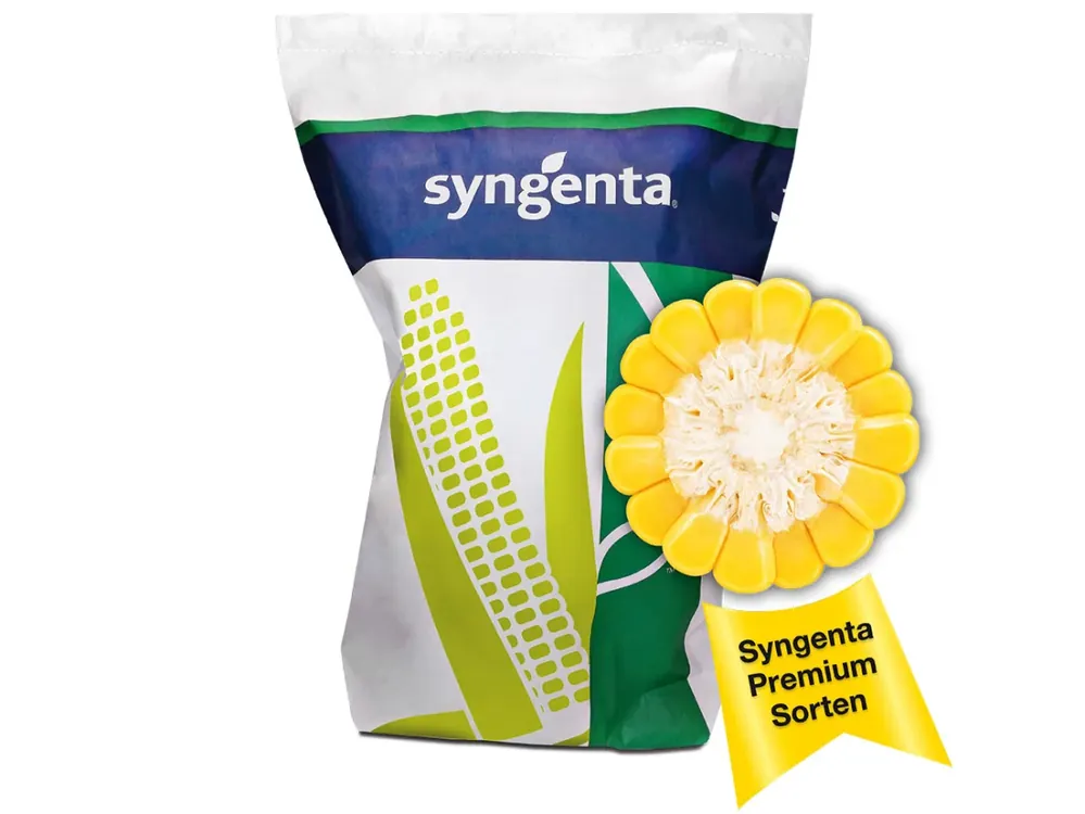 Online Kaufen Mais-Saatgut Syngenta SY Amfora (S 260)