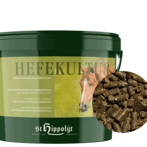 St. Hippolyt Hefekultur mit Wirkstoffen für die Verdauung von Pferden Highlight