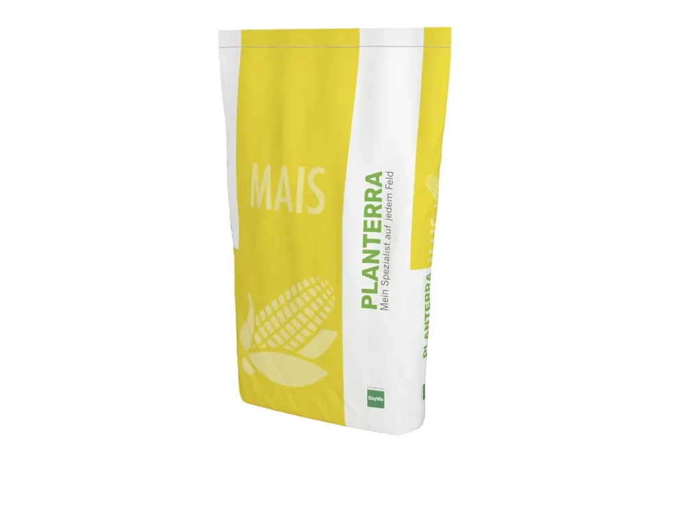 Mais-Saatgut Planterra Plesant (ca. S 260; ca. K 260) Must-Have