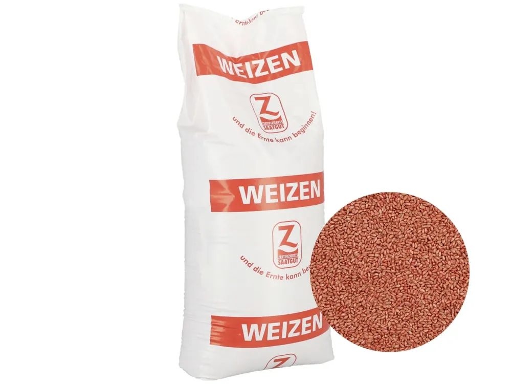 Jetzt Bestellen Winterweizen Saatgut Polarkap ZS (A-Weizen)