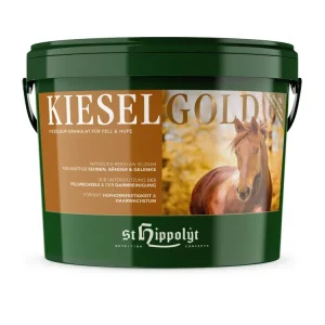 Neuheit St. Hippolyt Kieselgold mit Silizium und Kurkuma