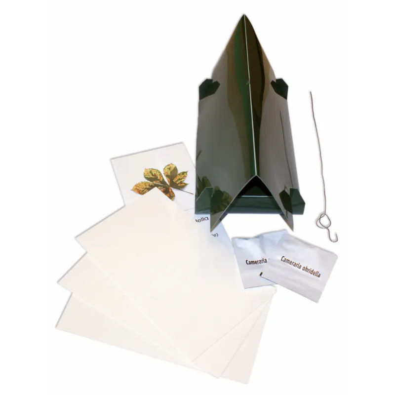 Kastanienminiermotte Komplett Set Top-Angebot