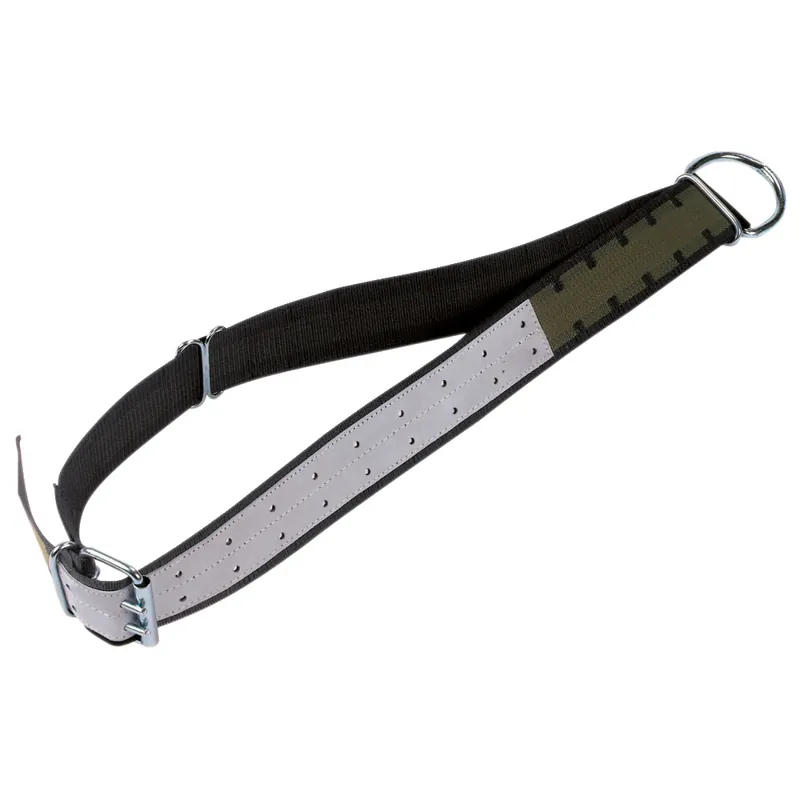 Preiswert KERBL Halsband, 170 x 7 cm