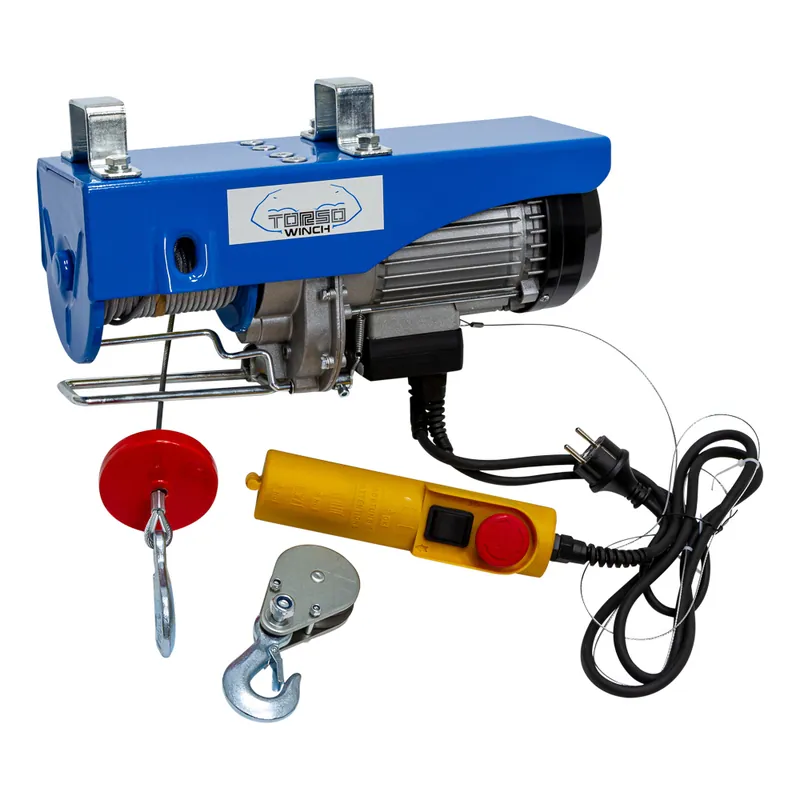 Elektro-Seilzug 300/600 kg 230 V Geprüft