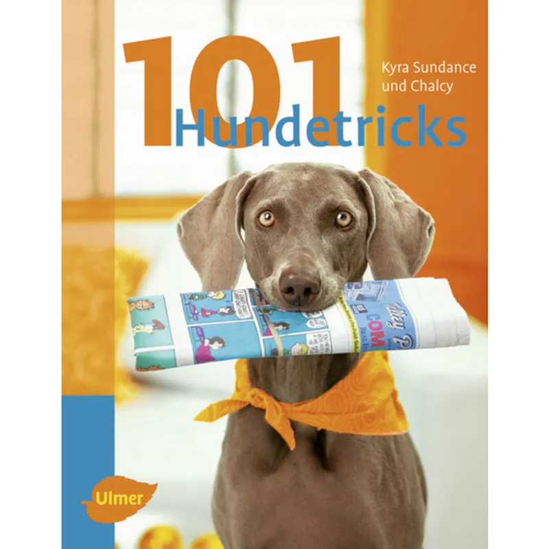 101 Hundetricks Billig