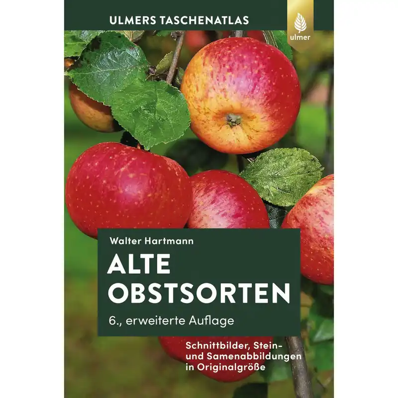 Wochenendangebot Alte Obstsorten