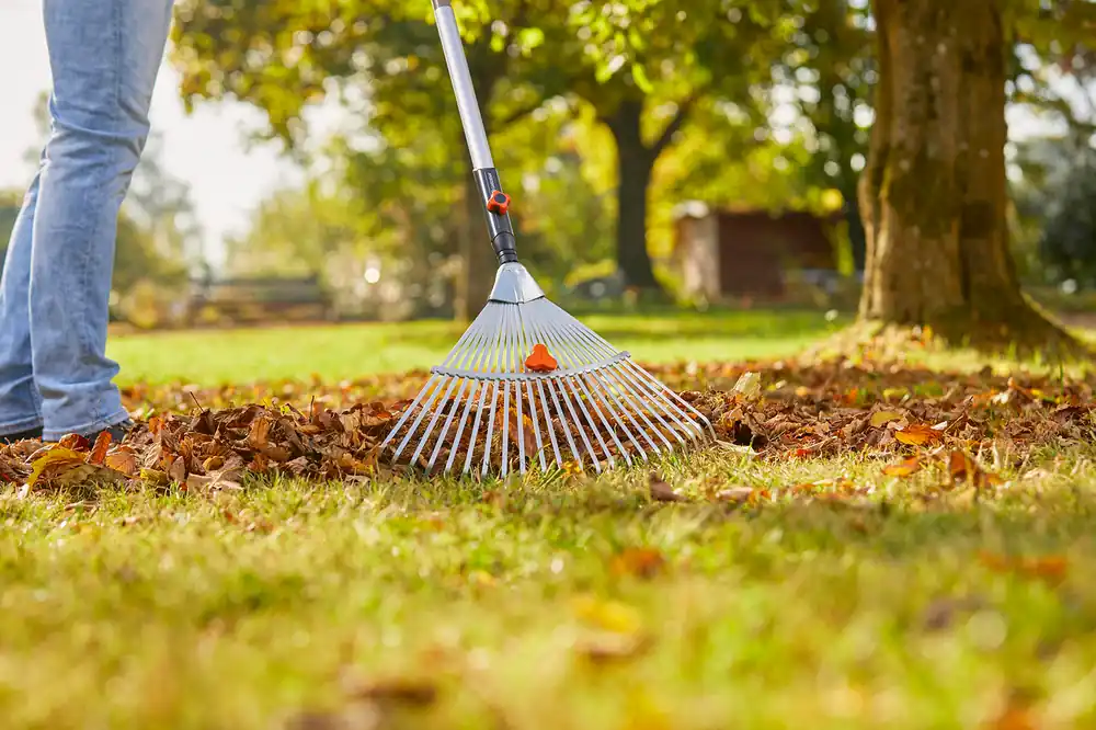 Jetzt Kaufen Gardena Verstellbesen 30-50 cm combisystem