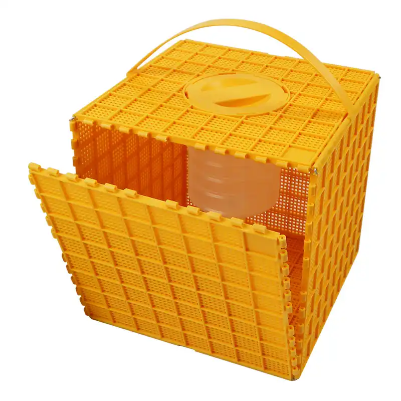 Multibox - Bienen Transport Beliebt