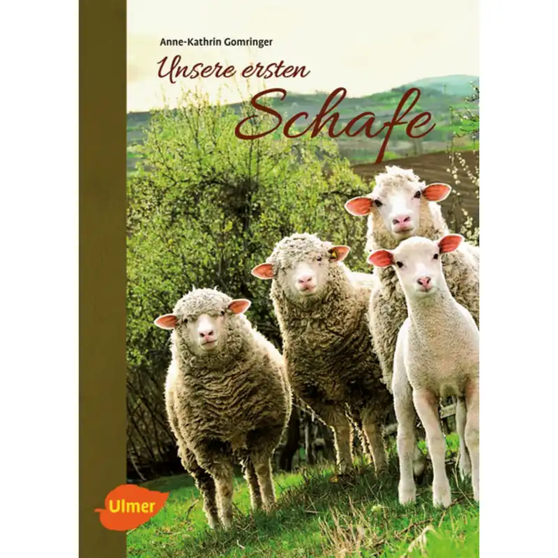 Unsere ersten Schafe Ausverkauf