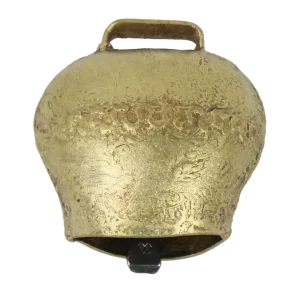 Lammschelle 30 mm Online Kaufen