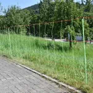 Göbel Schafnetz EuroNetz Kombi 50m Doppelspitze 90 Markenprodukt