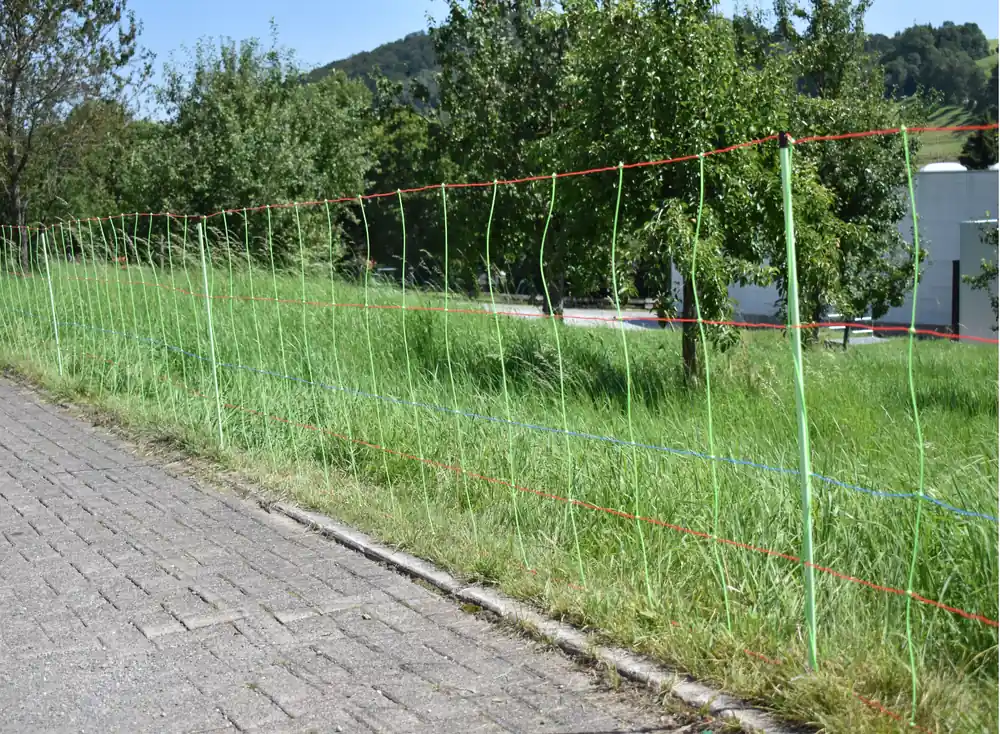Göbel Schafnetz EuroNetz Kombi 50m Doppelspitze 90 Markenprodukt