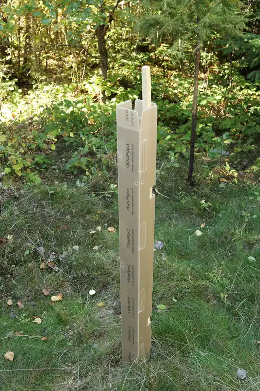 Mega-Angebot Baumschutzsäule MV Laubholz 1