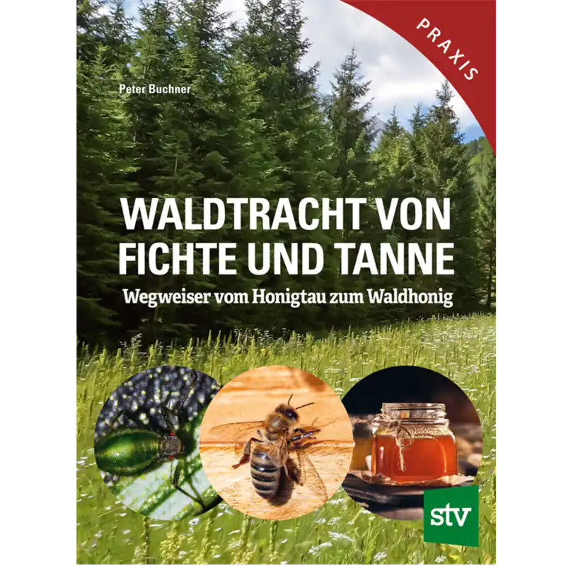 Waldtracht von Fichte u Tanne Begrenztes Angebot