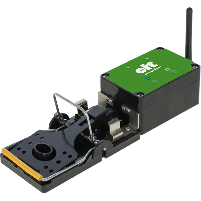 cit Rattenfalle Smart RatStop Rabatt