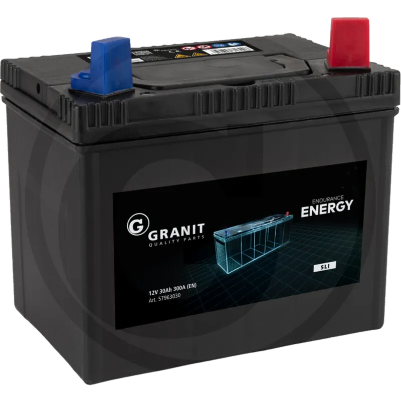 Rasentraktor Batterie 12 V/30Ah 300 A Neu Im Sortiment