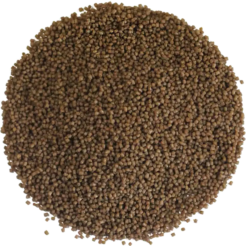 Preiswert Brutfutter Forelle Top sinkend 5