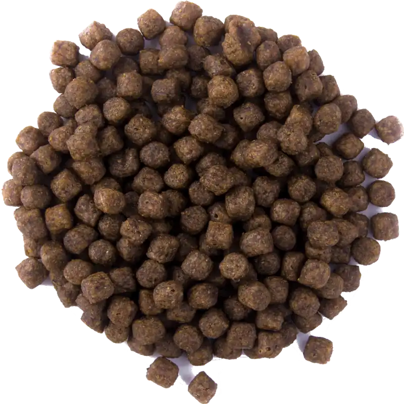 Garantierte Lieferung Mastfutter Karpfen Carp Speed schwimmend 15 kg 15