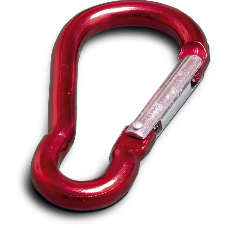 Zill Silosack-Karabiner FixTex 25 St. Neue Ware