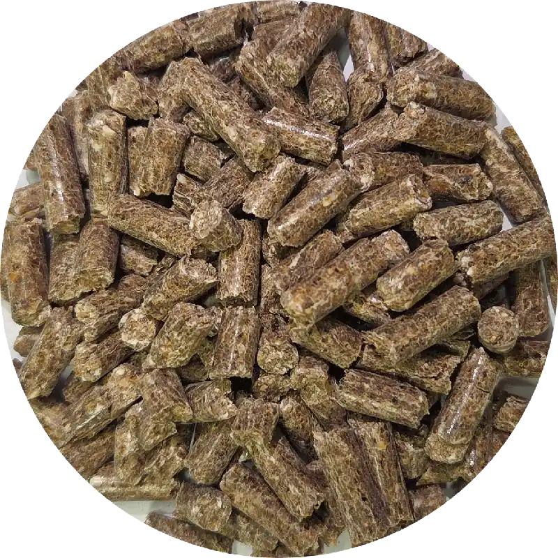 Sonderaktion Pferdefutter Leader Junior 20 Kg