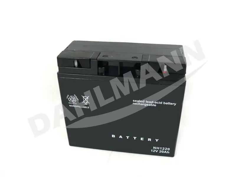 Batterie Starterbatterie GEL 12 Volt 20 Ah für CASTEL GARDEN Aufsitzmäher F 72 Bestseller