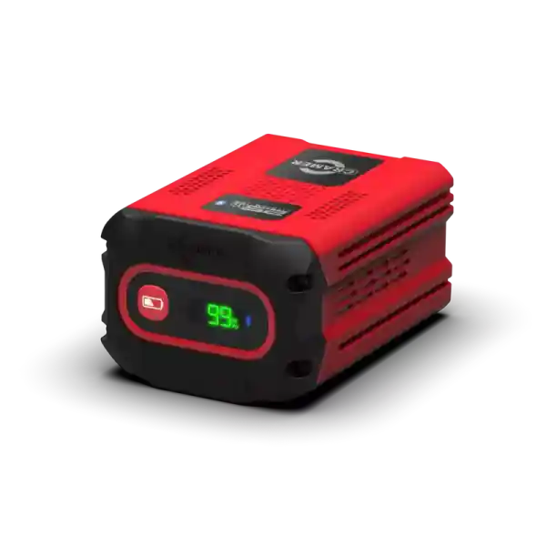 CRAMER 82 Volt Akku 82V180 Wochenendangebot