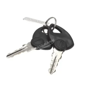 Zündschlüssel für CASTEL GARDEN Rasentraktor NJX 92 Top-Seller