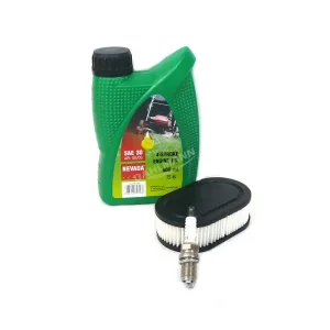 Sichere Zahlung Luftfilter Zündkerze Motorenöl für Briggs & Stratton Motor OHV 550E Series™