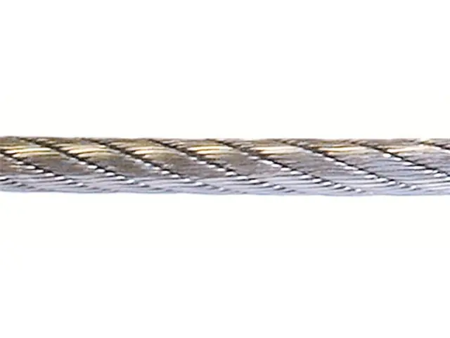 Forstseil gehämmert 9mm 60m Meistverkauft