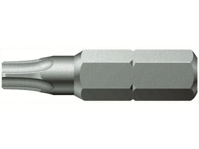 Bit TX 40 L = 25 mm Top-Angebot