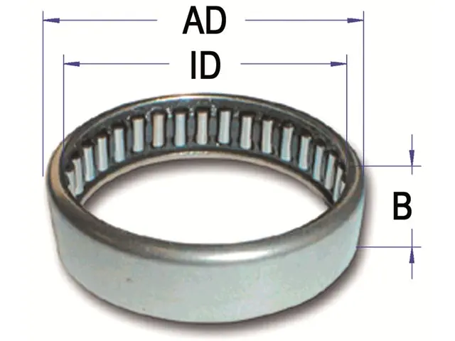 Beliebt Nadellager HK4012
