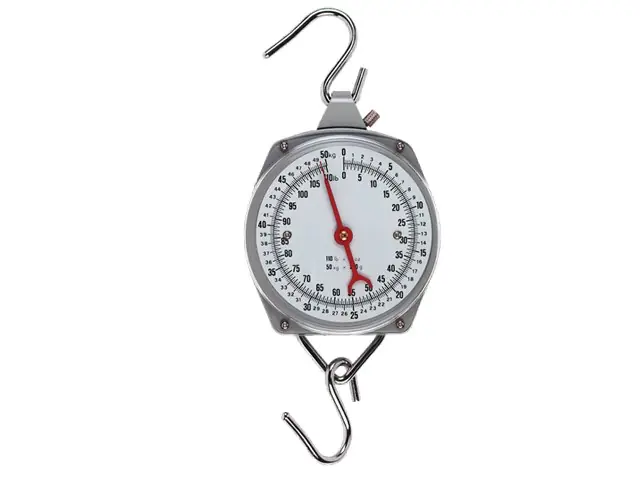 Zeigerschnellwaage 50kg Versand Am Gleichen Tag