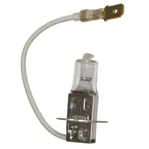 Versand Am Gleichen Tag Halogenlampe H3 100W 12V PKY22s