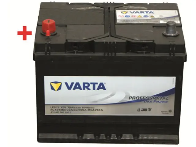 Knallerangebot Batterie 12V/75AH LFS75