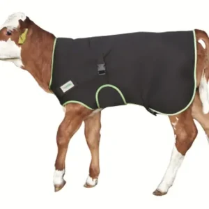 Kälberdecke Premium 80 cm Heißes Angebot