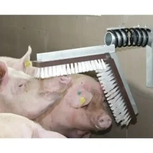 Neu Im Sortiment Kratzbürste für Schweine