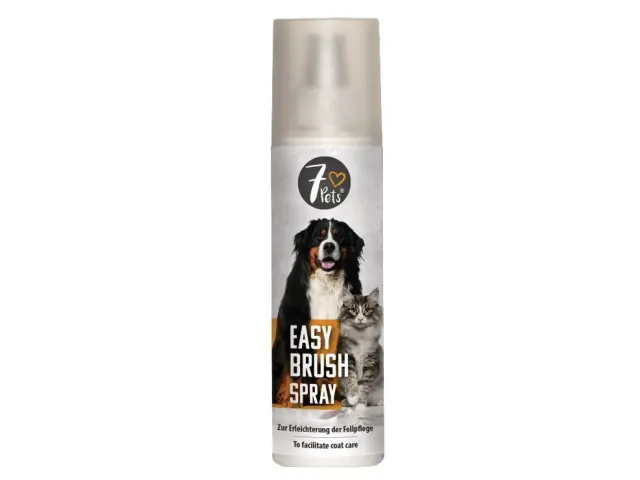 Preisreduziert Easy Brush Spray 200 ml