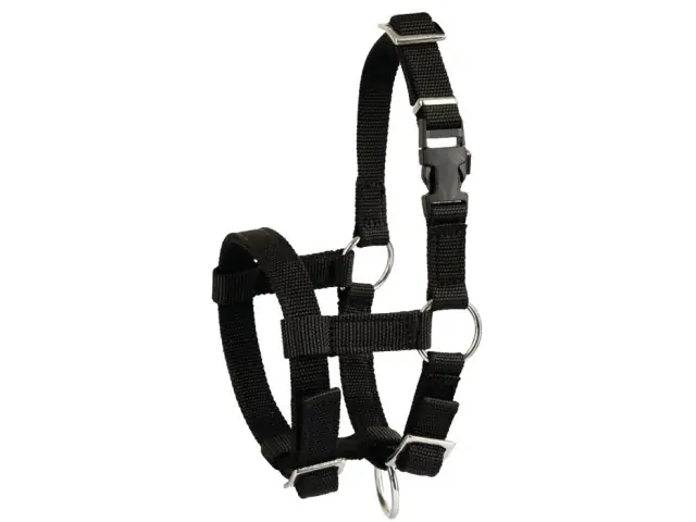Alpaka-Halfter verstellbar, schwarz, 20mm PP Echt