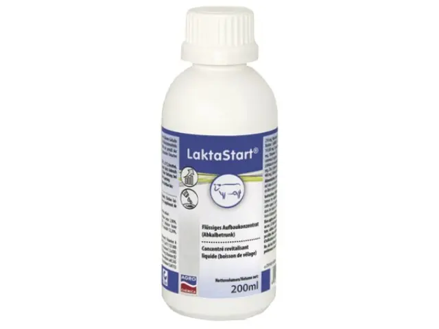 Preis Gesenkt LaktaStart Abkalbetrunk 200 ml