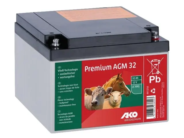 Premium AGM Batterie 32 AH (C100) Schneller Versand